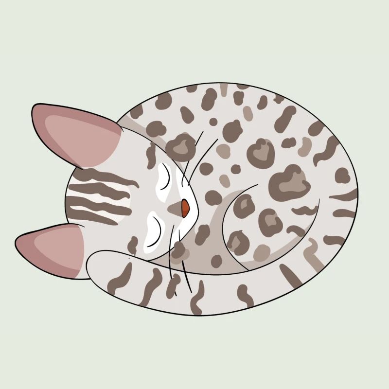 Chat de Bengale Chat