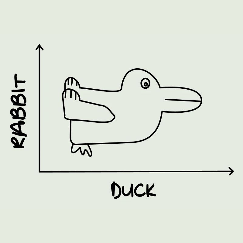 Duck'n Rabbit