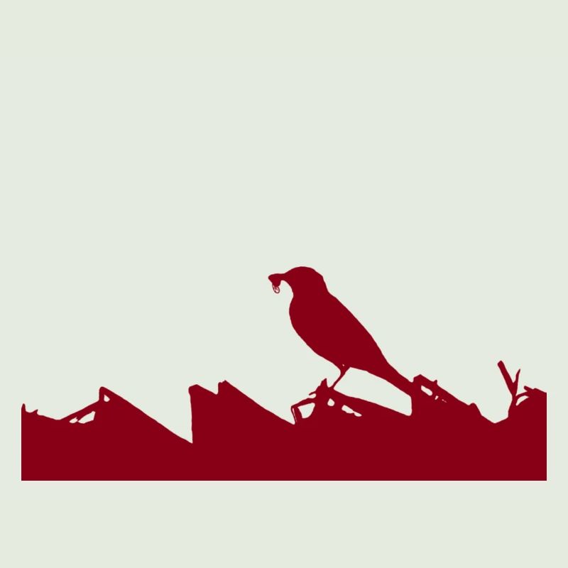 Superpower: Wagtail