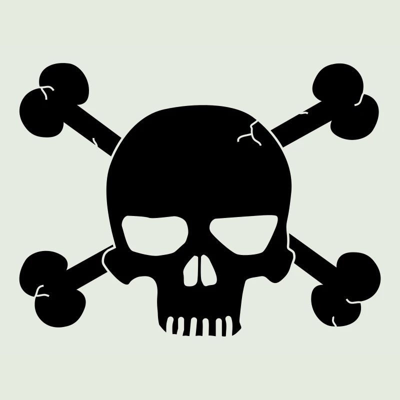 skull with bones / pirate