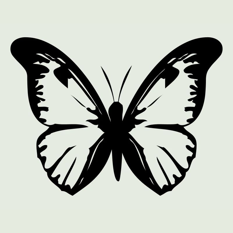 Schmetterling
