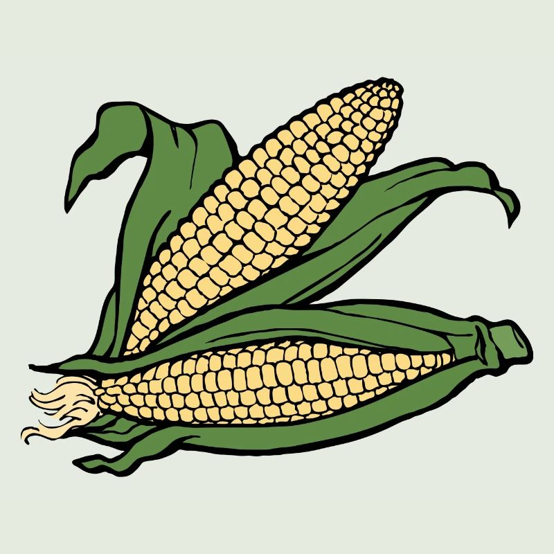 mais corn maize getreide veggie gemuese vegetables