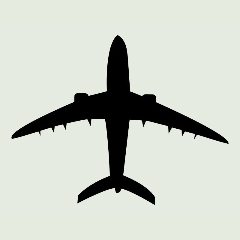 Flugzeug