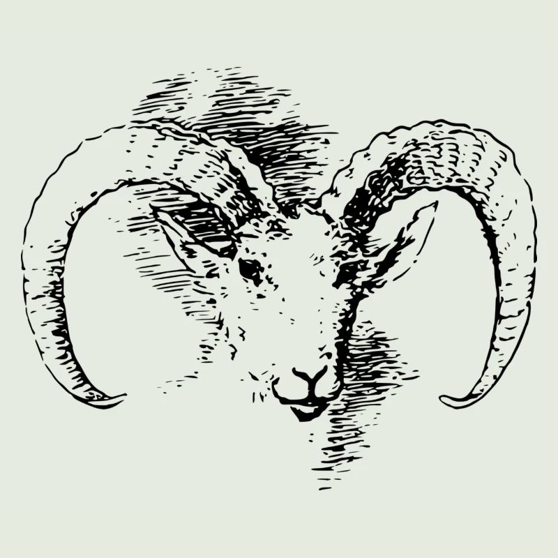 bouc