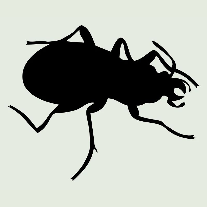 Bug