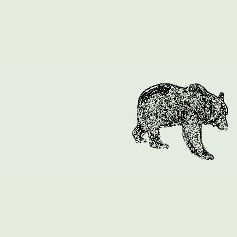 bear
