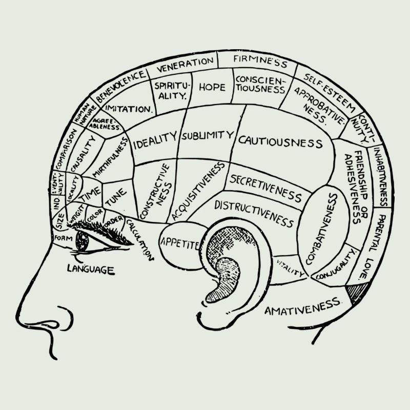Head with thought, brain