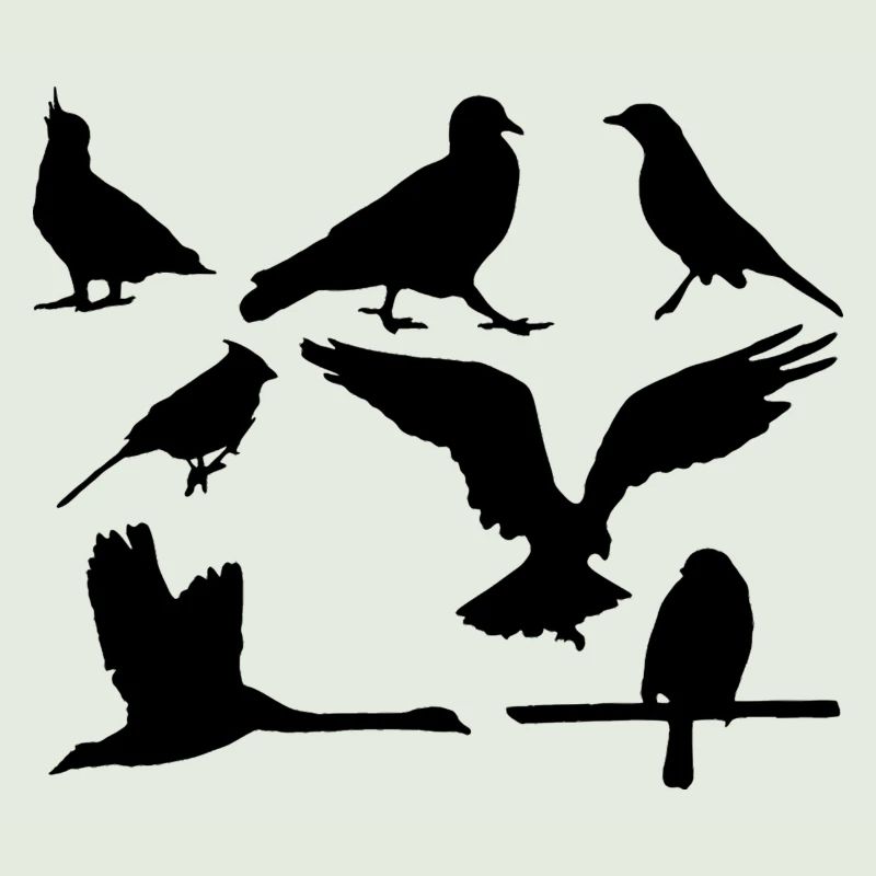 Vögel
