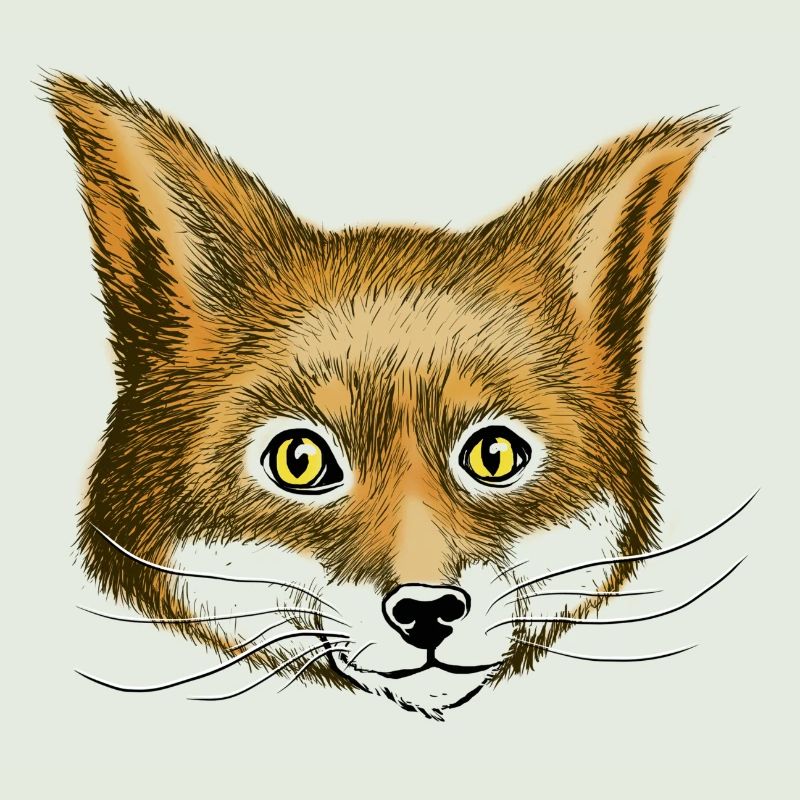 Fox the fox