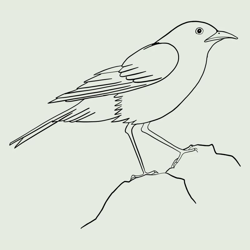 Tag des Vogels
