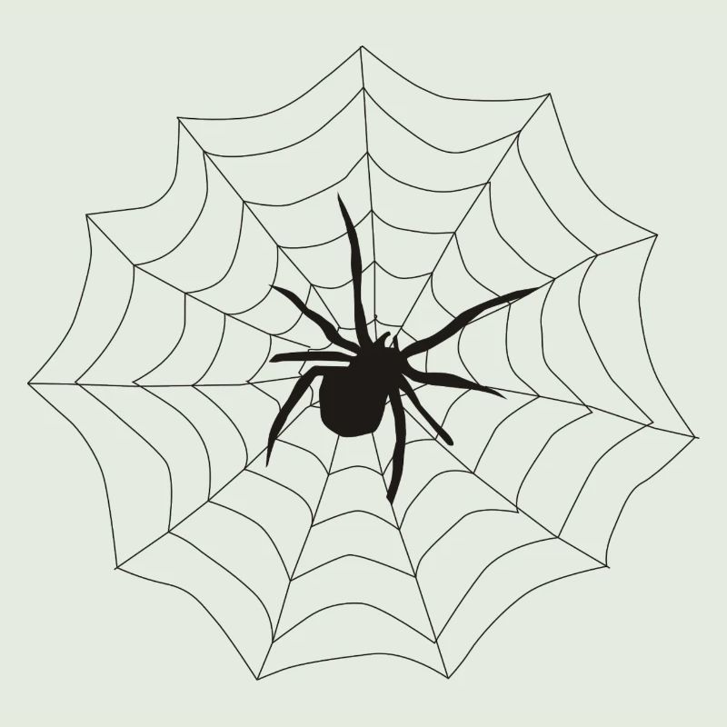 Spinne Netz