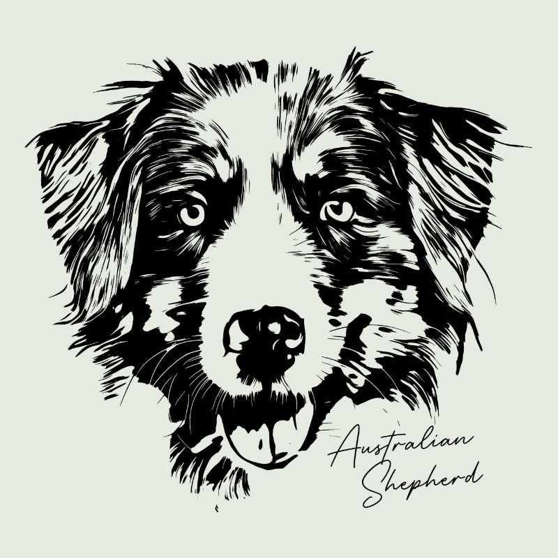 Australian Shepherd