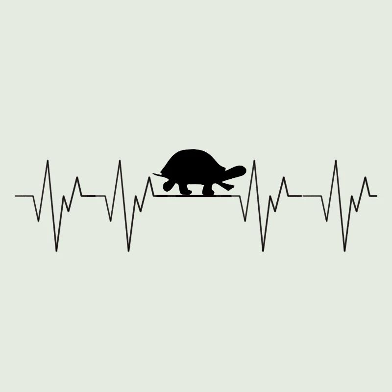 Turtle Heartbeat Heartbreak dear