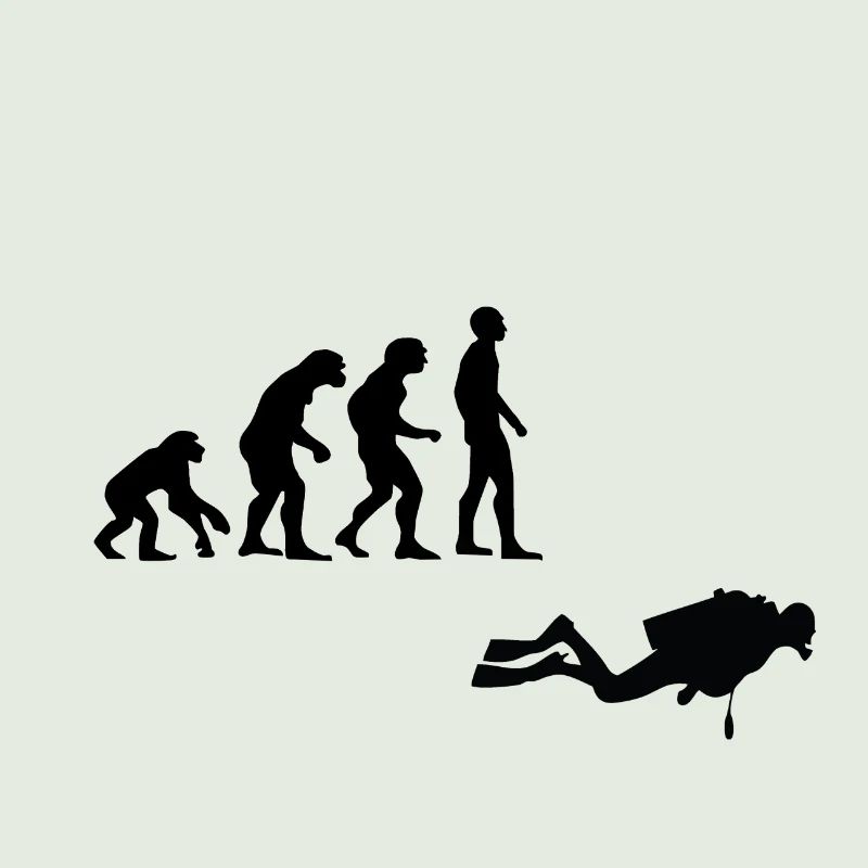 Evolution Tauchen