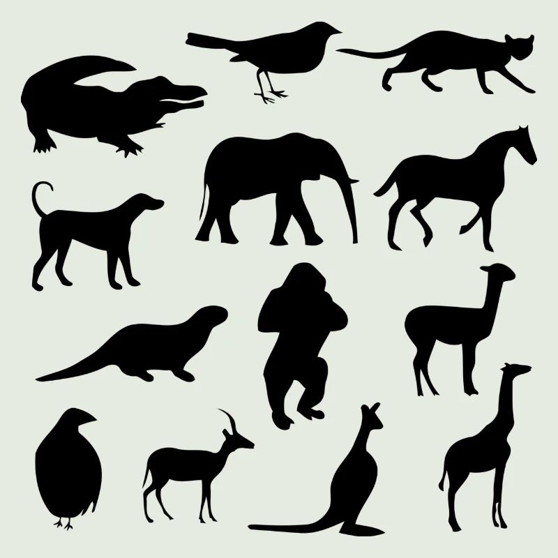 Wild animals