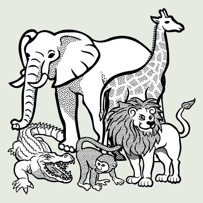 zoo