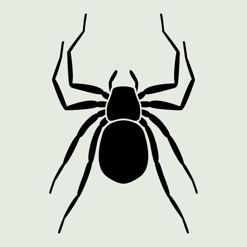 Spinne