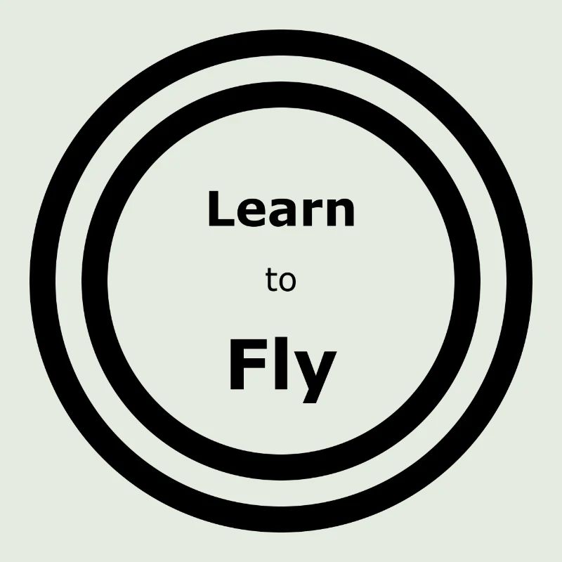 Learn to Fly - Lyrics