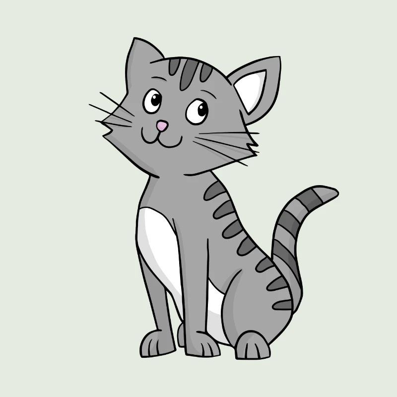 Grey Cat