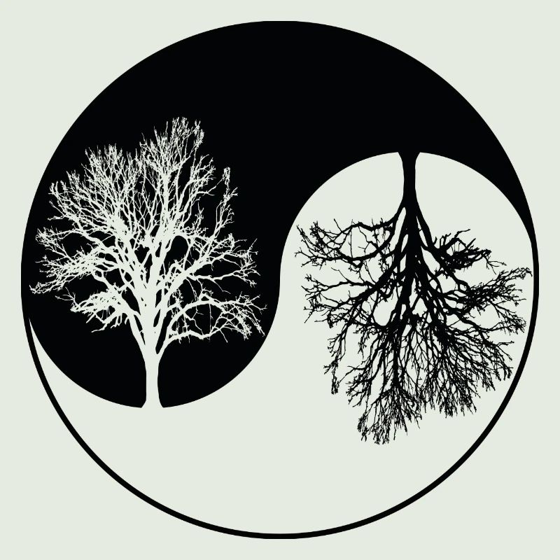 Ying-Yang-Baum