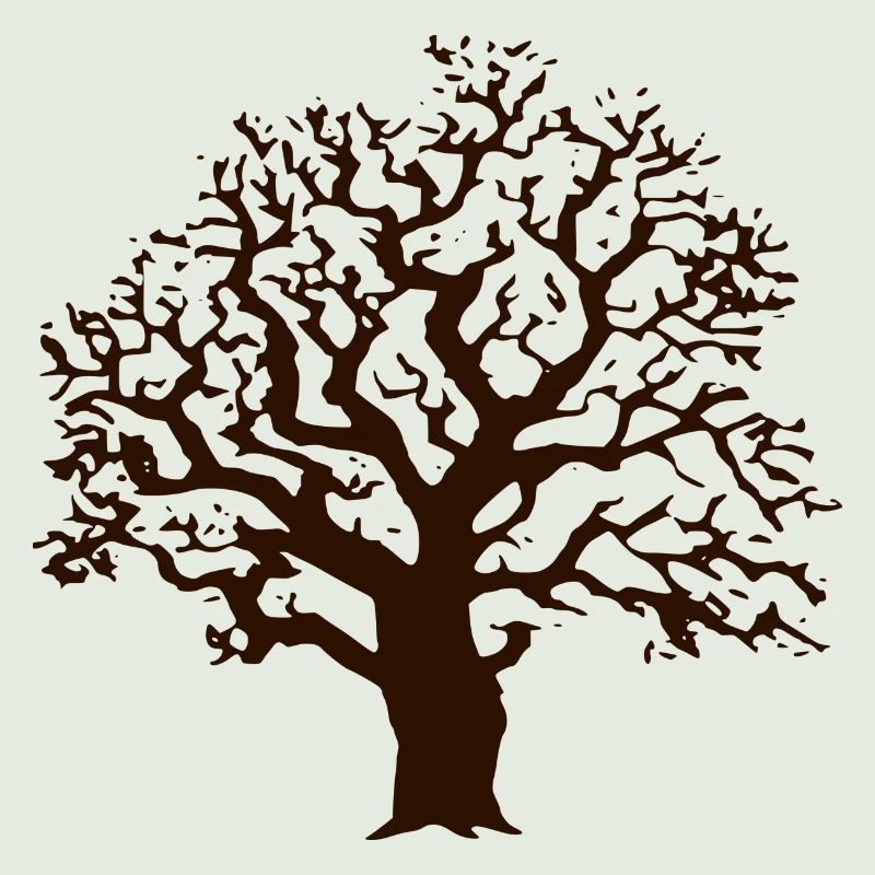 Tree oak