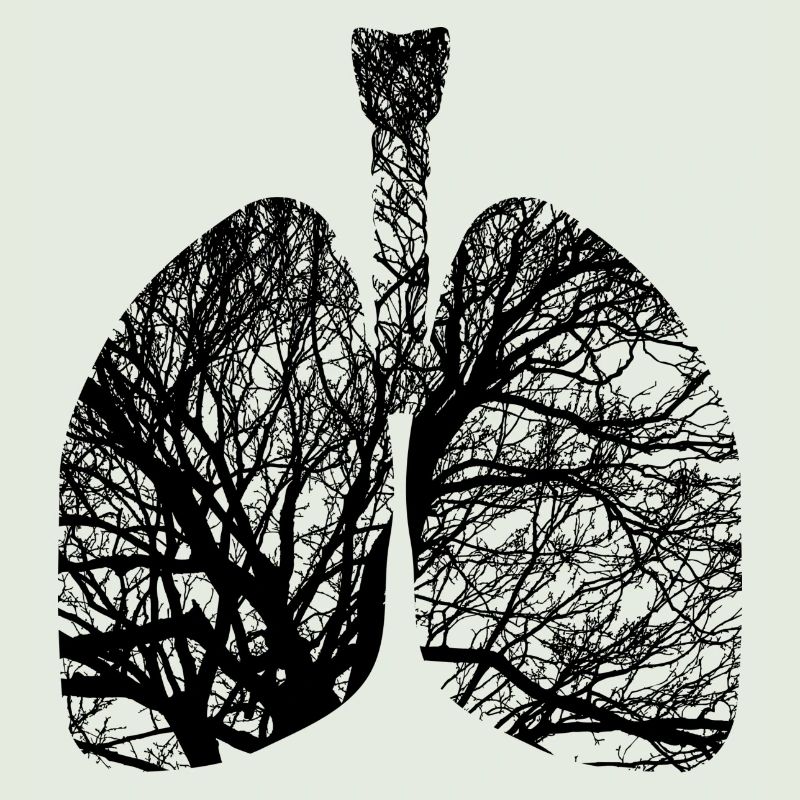 Nature lung tree