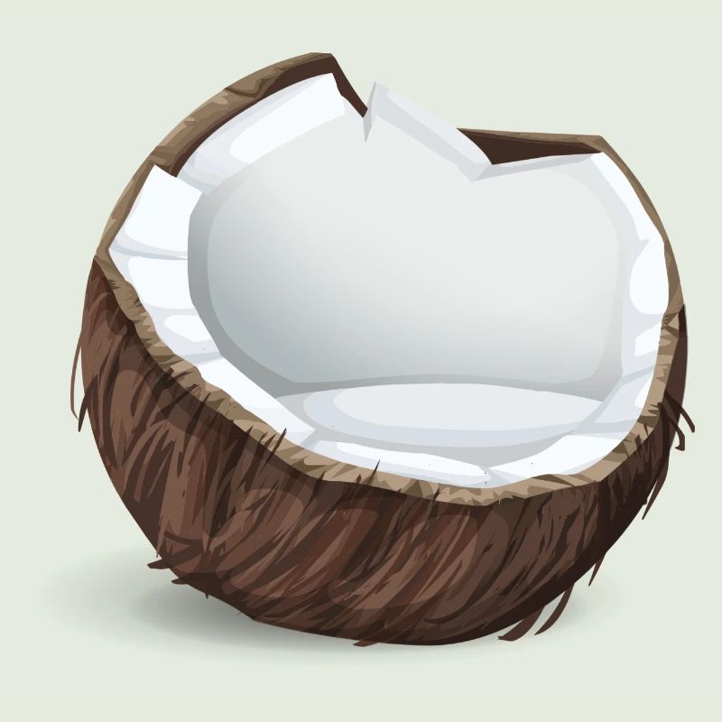 Noix de coco - Idée de cadeau tropical