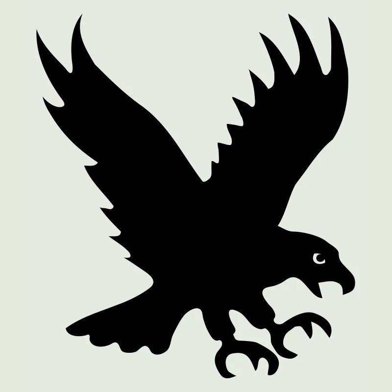 Adler Raubvogel Greifvogel Flügel eagle vogel bird