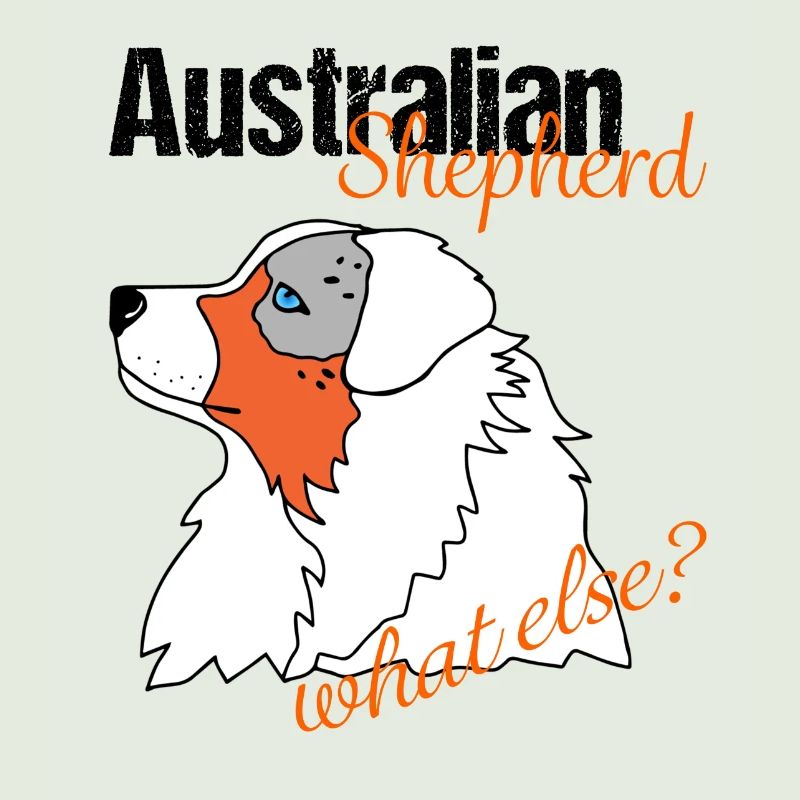 Aussie Shepherd Australian Shepherd What else?