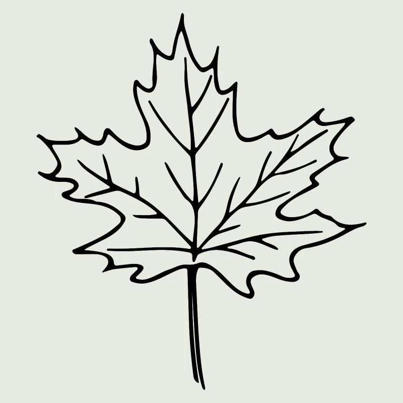 leaf_1