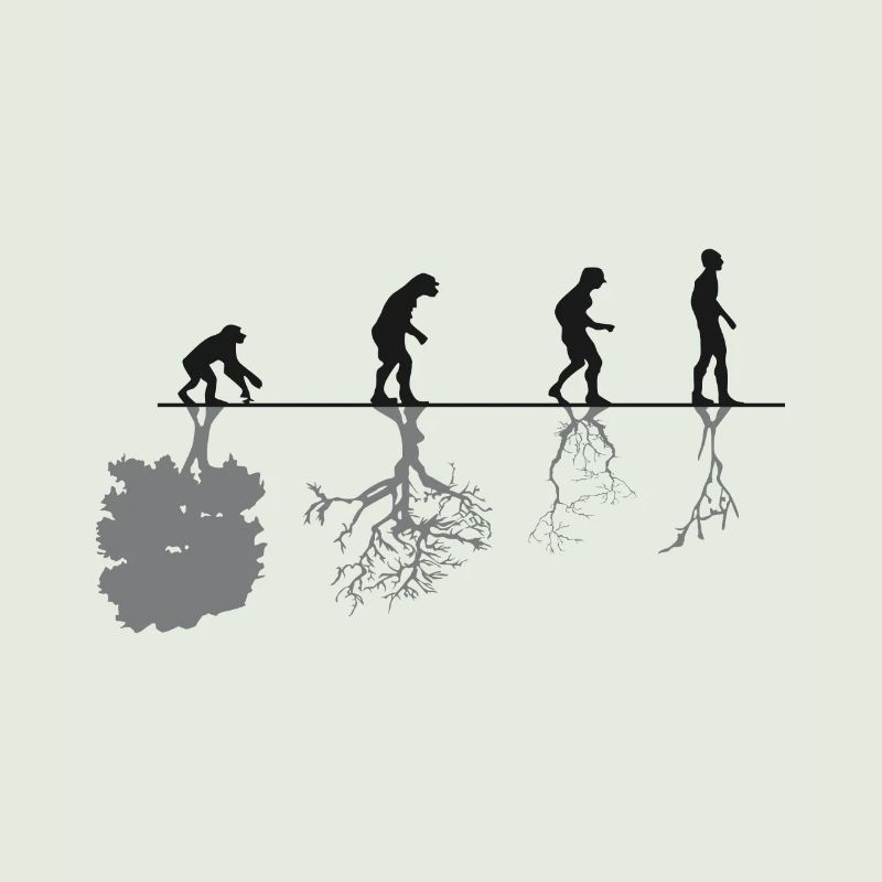 Evolution Black