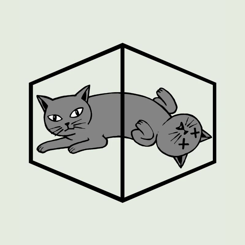 Le chat de Schrödinger