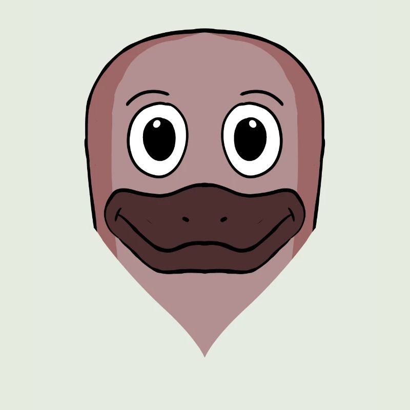 Ornithorynque