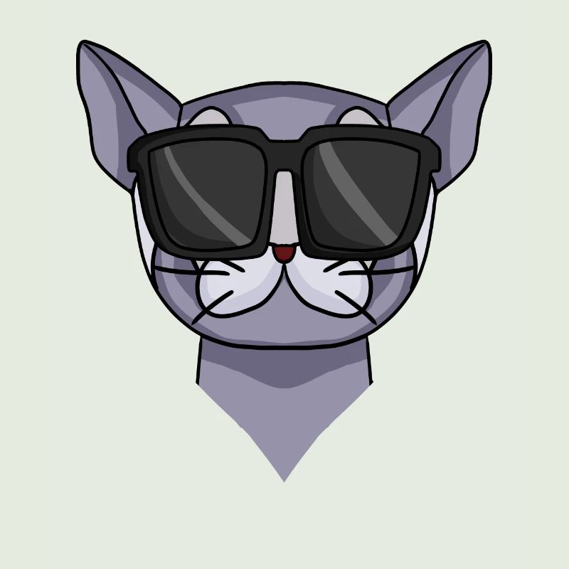 Britisch Kurzhaar Katze mit Sonnenbrille