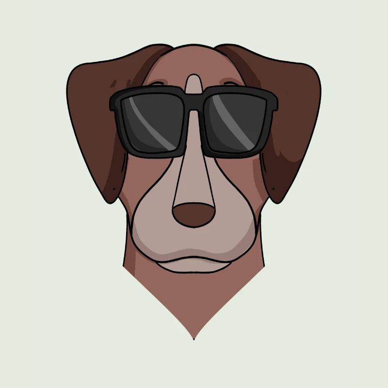 Pointer Hund Hunderasse