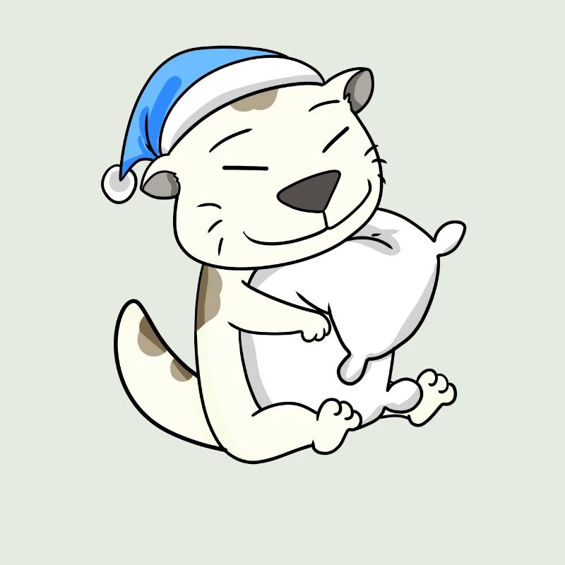 Katze Katzenrasse Devon Rex