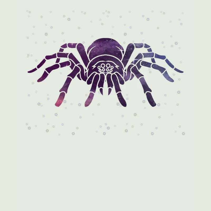 Celestial Spider Star Pattern