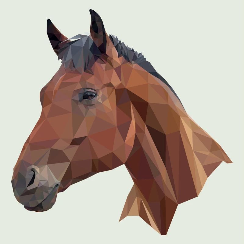 Cheval poly
