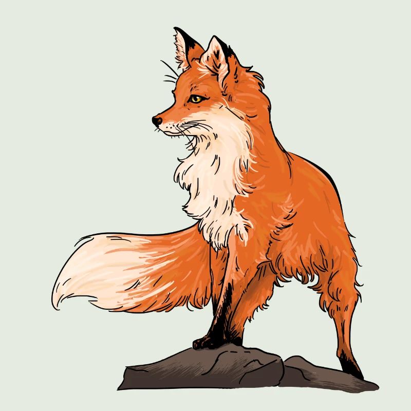 Schöner Fuchs