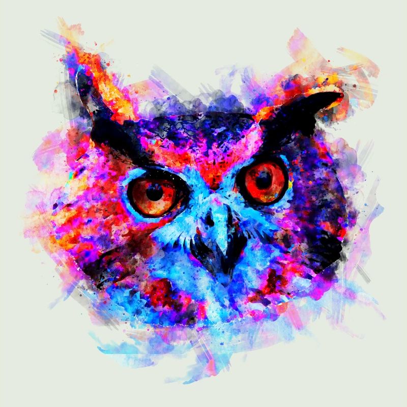 gxp eule lila blau perfekt