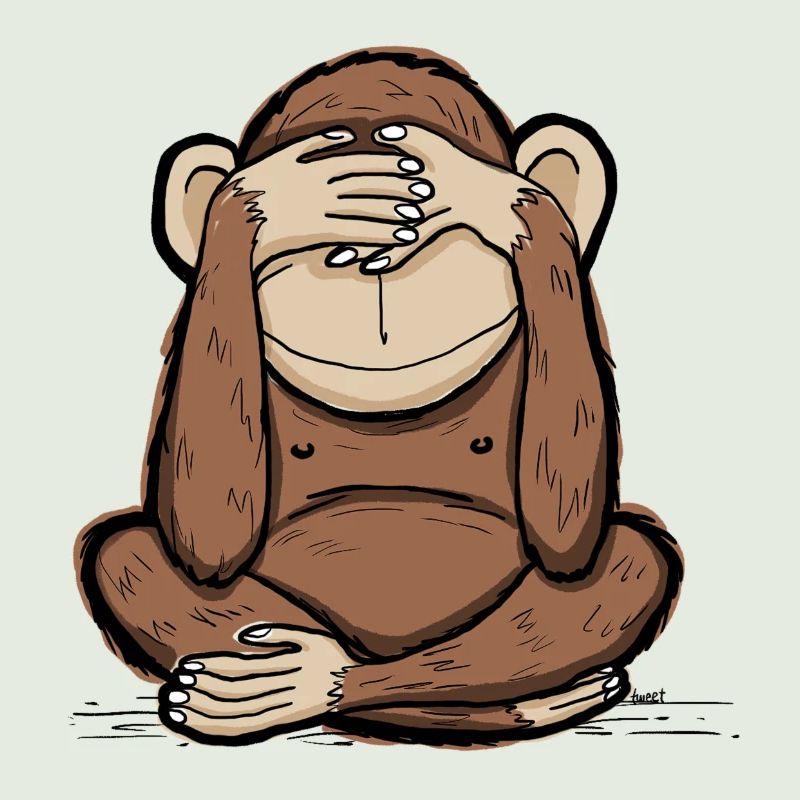 Mizaru - monkey sees no evil