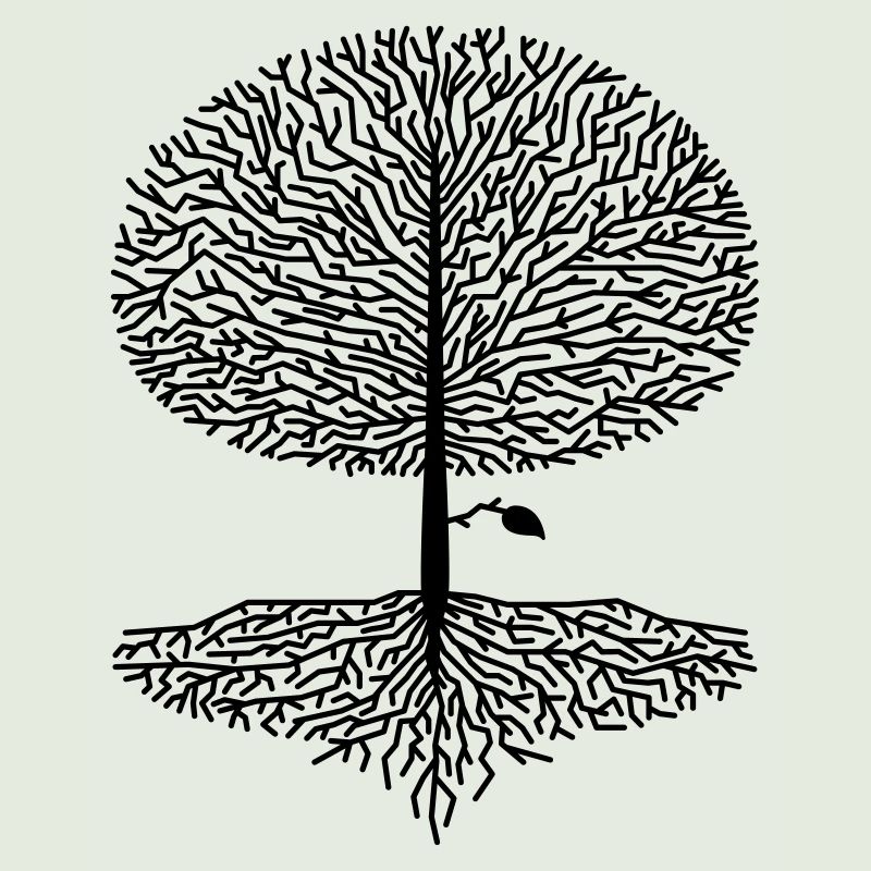 Laubbaum Krone Wald Eiche Buche Natur Linde Äste