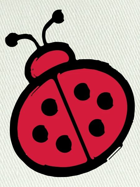ladybug
