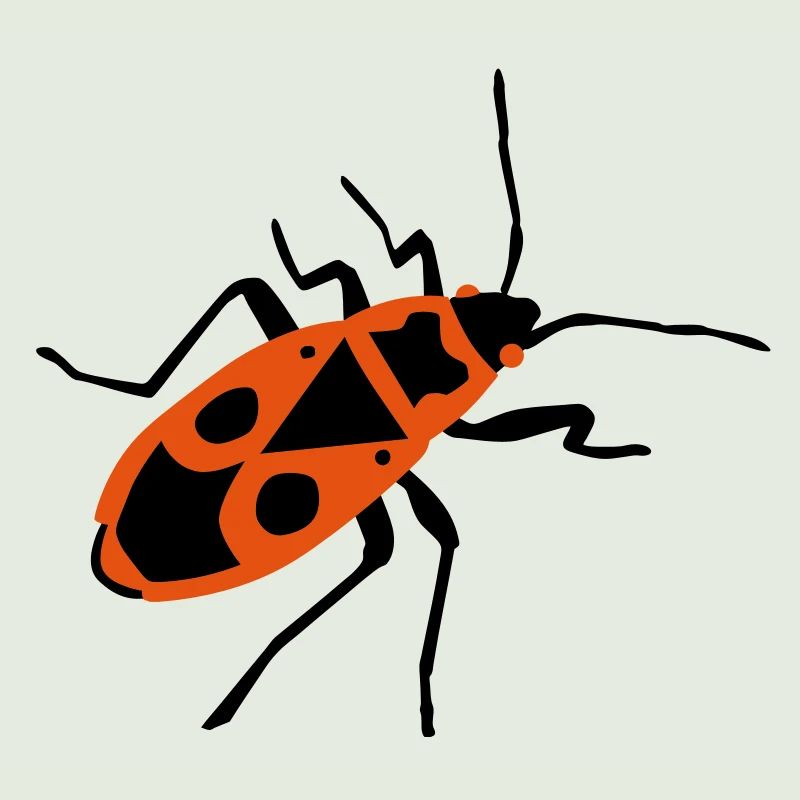 Fire beetle - insect - Firebug