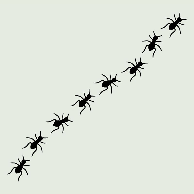 Ants