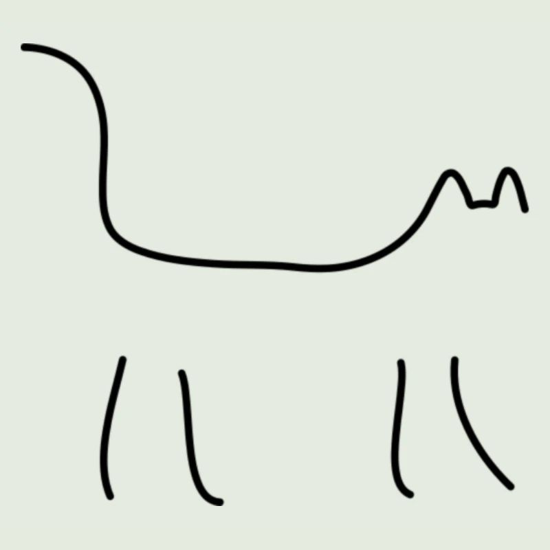 Katze schwarz