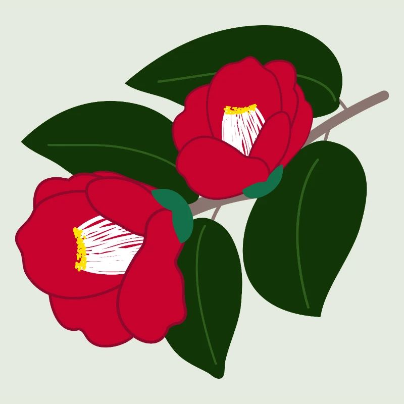 two red camellia flowers