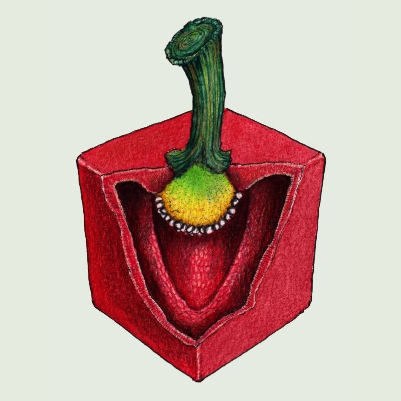 Pepper Cubus Cube vegetable cubes