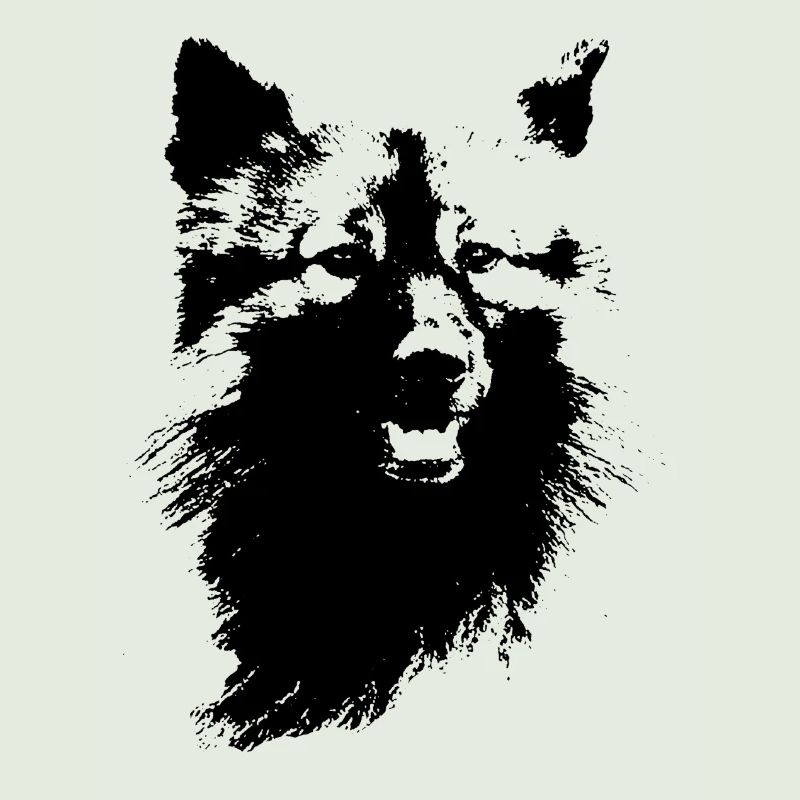 Tête de Wolfsspitz