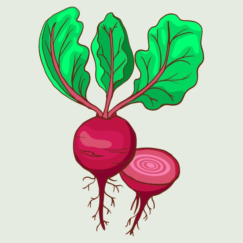 Beetroot Beet Bete